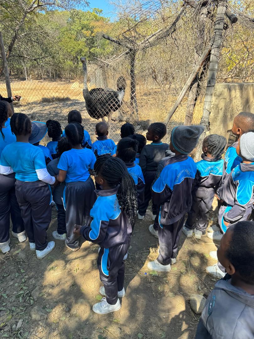 Harmony Junior School